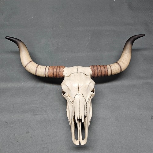 Longhorn rinderschädel - longhorn,