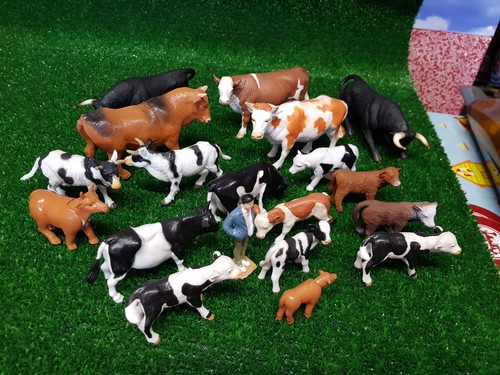 Tiere kühe stiere - kühe,